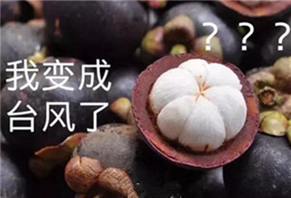 “山竹”還未走遠(yuǎn)，但貝朗全自動(dòng)彎線機(jī)已正常上班啦！