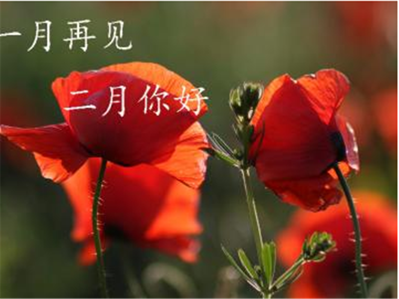 一月再見，美好的二月你好啊